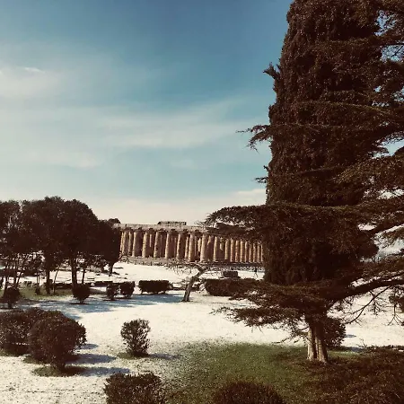 Le Colonne Di Hera Argiva * 卡帕乔-帕埃斯图姆